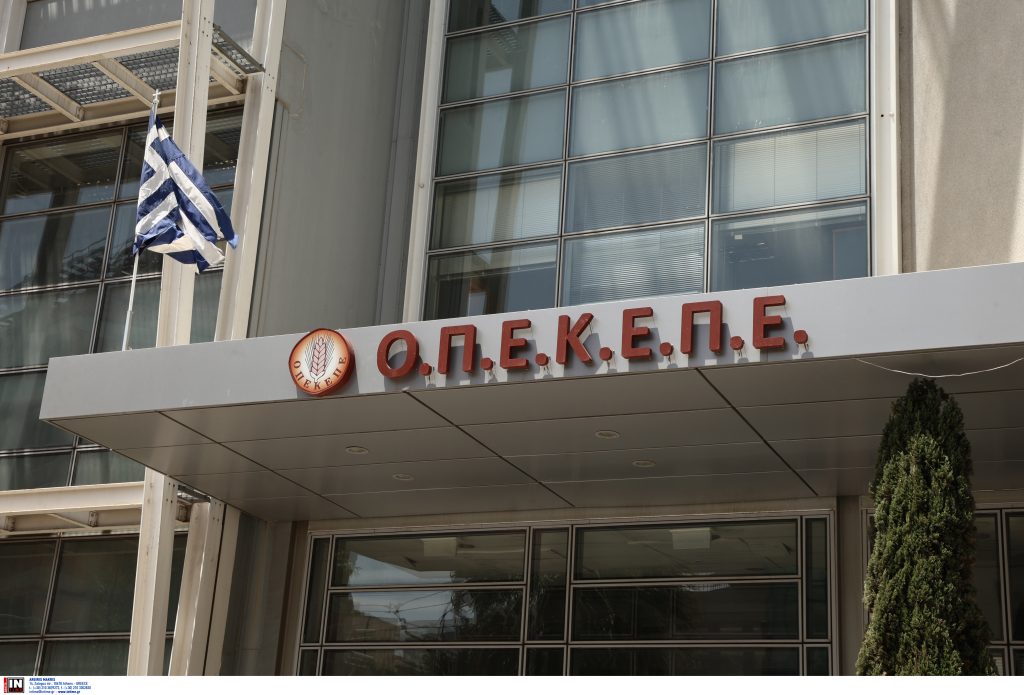 Σεισμός στον ΟΠΕΚΕΠΕ: Χιλιάδες ύποπτα ΑΦΜ και επερχόμενες συλλήψεις μετά τις γιορτές – Όλα τα νέα δεδομένα 12 Σεισμός στον ΟΠΕΚΕΠΕ: Χιλιάδες ύποπτα ΑΦΜ και επερχόμενες συλλήψεις μετά τις γιορτές – Όλα τα νέα δεδομένα - NewsPoint.gr