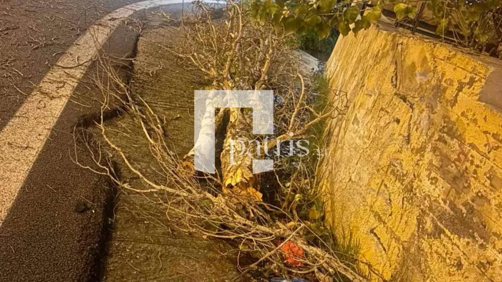 Απίστευτο χάος στην Κρήτη από τους θυελλώδεις ανέμους – Κίνδυνος στην εθνική οδό! - NewsPoint.gr