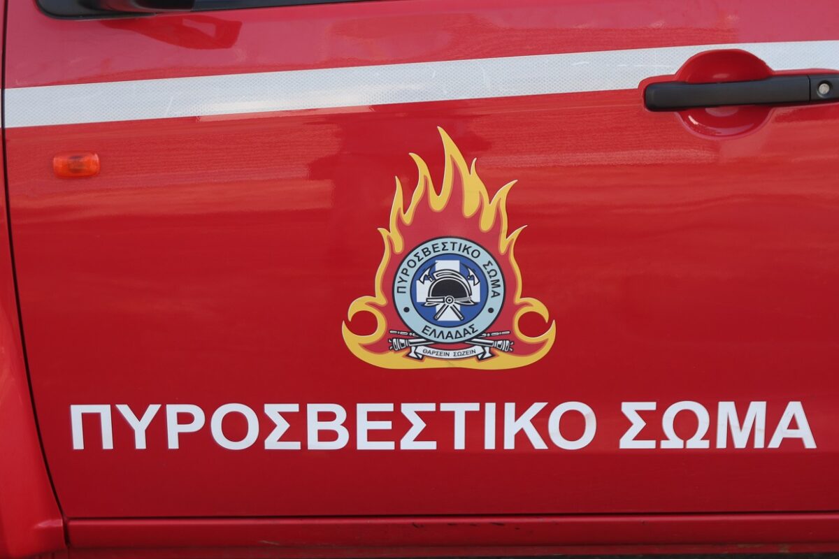 Συναγερμός σε σούπερ μάρκετ Σκλαβενίτης στη Νέα Ιωνία: Εκκένωση λόγω απρόσμενων καπνών – Πανικός στους πελάτες! 1 Συναγερμός σε σούπερ μάρκετ Σκλαβενίτης στη Νέα Ιωνία: Εκκένωση λόγω απρόσμενων καπνών – Πανικός στους πελάτες! - NewsPoint.gr