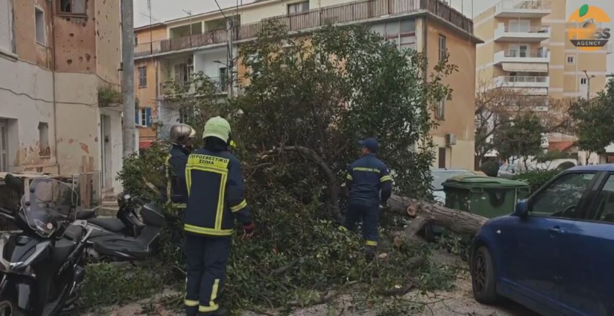 Απίστευτο χάος στην Αττική: Δέντρα σωριάζονται στους δρόμους από θυελλώδεις ανέμους – Σε επιφυλακή η Πυροσβεστική σε πέντε σημεία - NewsPoint.gr