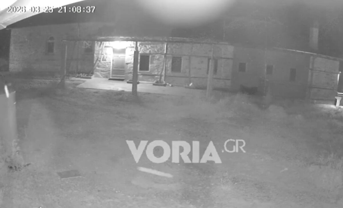 Πανικός στο Άγιο Όρος: Δεκάδες μετασεισμοί μετά τον ισχυρό σεισμό των 4,9 Ρίχτερ – Ρωγμές και σκηνές τρόμου στις μονές! 7 Πανικός στο Άγιο Όρος: Δεκάδες μετασεισμοί μετά τον ισχυρό σεισμό των 4,9 Ρίχτερ – Ρωγμές και σκηνές τρόμου στις μονές! - NewsPoint.gr