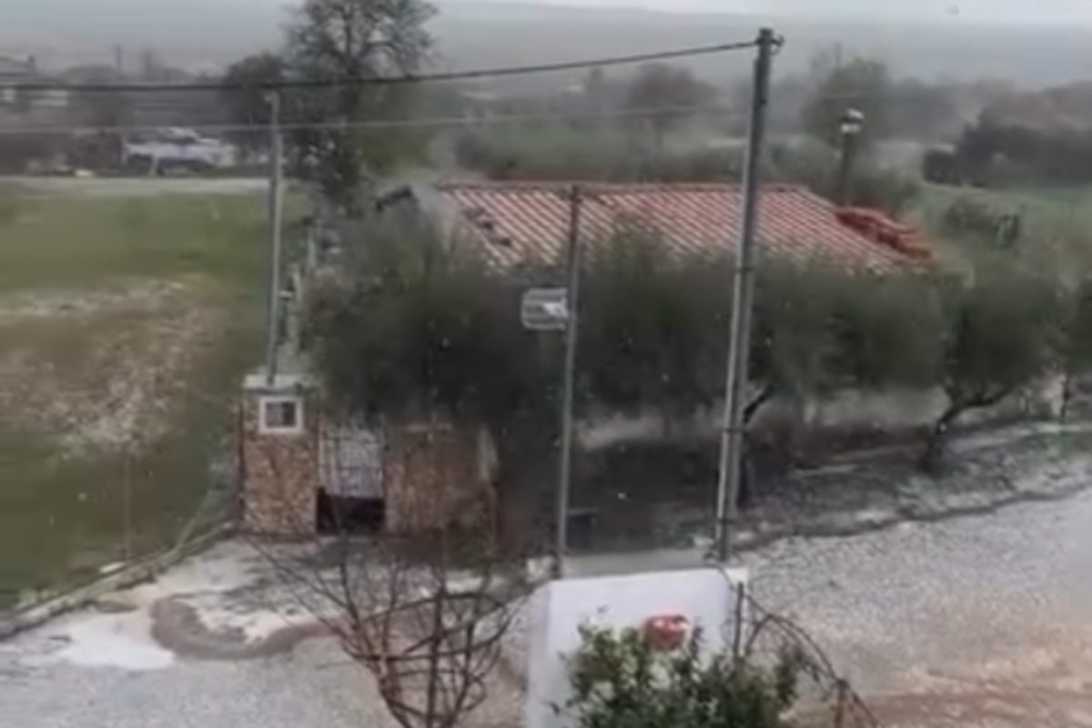 Σοκαριστικές εικόνες από την Ξάνθη: Το χαλάζι μετέτρεψε τους δρόμους σε «λευκή θάλασσα» – Αγωνία στους κατοίκους! - NewsPoint.gr