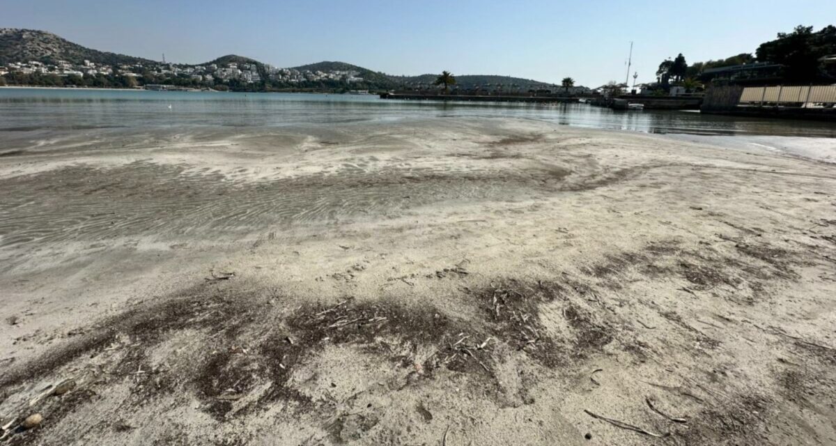 Απίστευτο θέαμα στη Βουλιαγμένη: Η θάλασσα εξαφανίστηκε και αποκάλυψε μυστικά της στεριάς! 25 Απίστευτο θέαμα στη Βουλιαγμένη: Η θάλασσα εξαφανίστηκε και αποκάλυψε μυστικά της στεριάς! - NewsPoint.gr