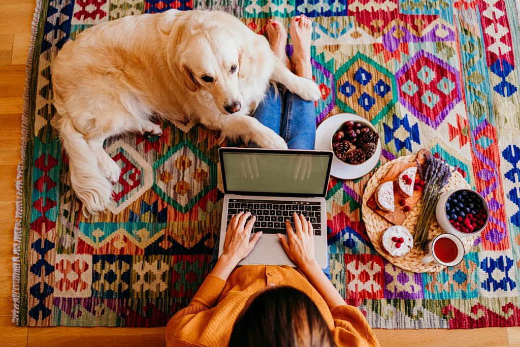 Η απρόσμενη ανακάλυψη για τα γονίδια των golden retriever που αλλάζει όσα ξέραμε για το ανθρώπινο άγχος και τη νοημοσύνη! 1 Η απρόσμενη ανακάλυψη για τα γονίδια των golden retriever που αλλάζει όσα ξέραμε για το ανθρώπινο άγχος και τη νοημοσύνη! - NewsPoint.gr