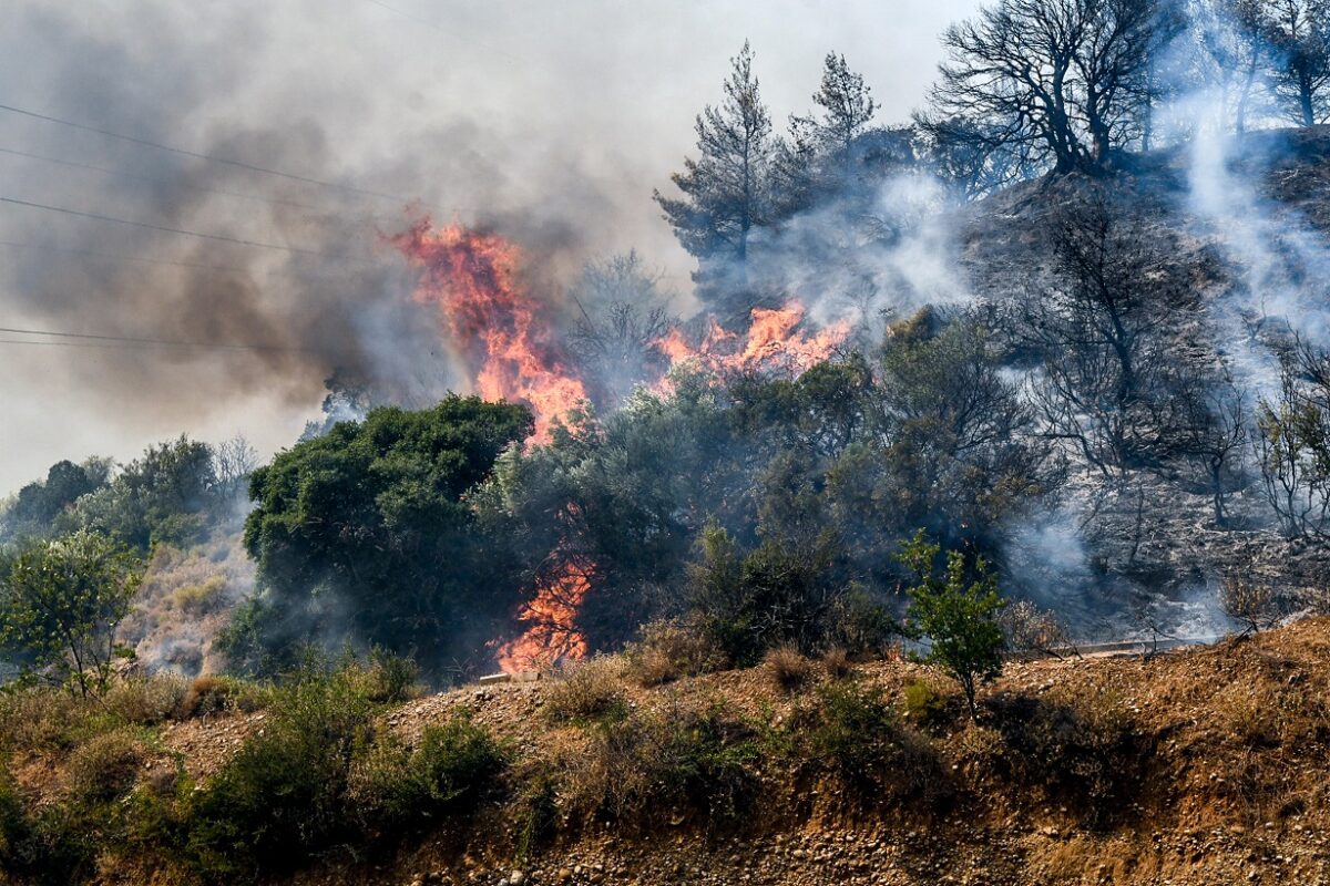 Συναγερμός στο Νεοχώρι Πηλίου: Μεγάλη φωτιά απειλεί το δάσος – Μάχη με εναέρια και επίγεια μέσα! - NewsPoint.gr