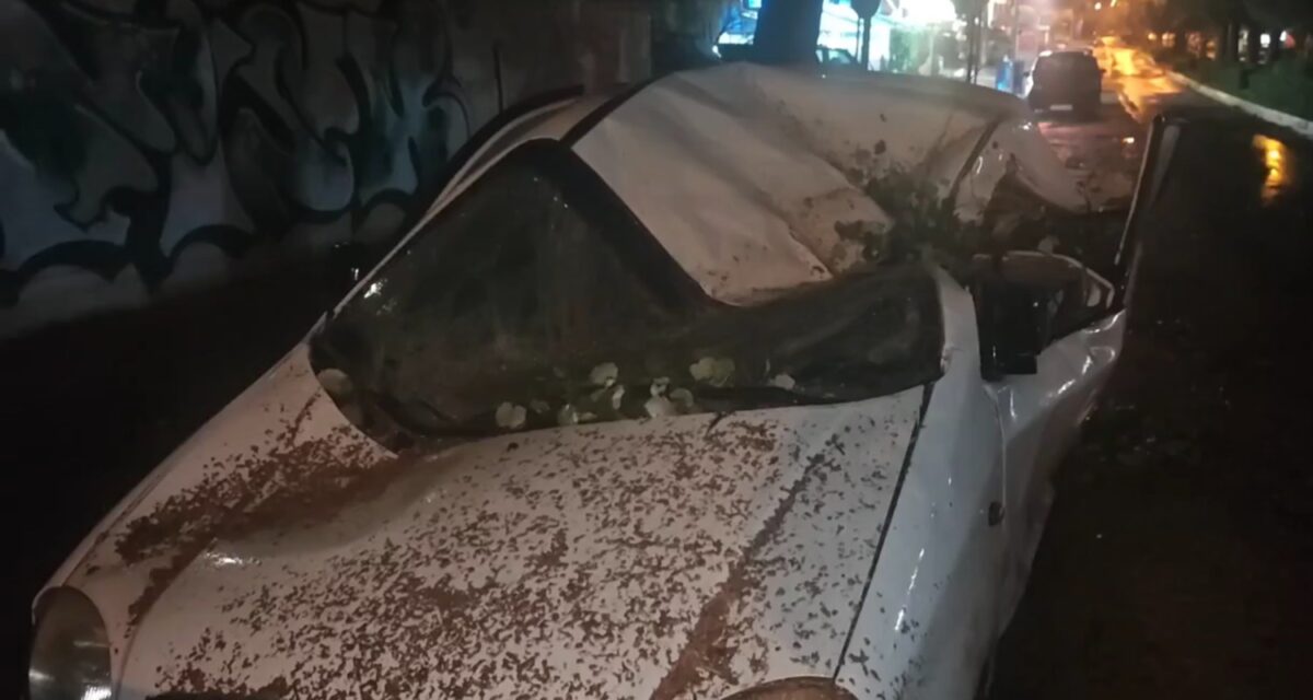 Απίστευτη καταστροφή στην Ηλιούπολη: Η κακοκαιρία Erminio ξήλωσε δέντρα και διέλυσε αυτοκίνητα - Κανείς δεν περίμενε αυτό που συνέβη 1 Απίστευτη καταστροφή στην Ηλιούπολη: Η κακοκαιρία Erminio ξήλωσε δέντρα και διέλυσε αυτοκίνητα - Κανείς δεν περίμενε αυτό που συνέβη - NewsPoint.gr