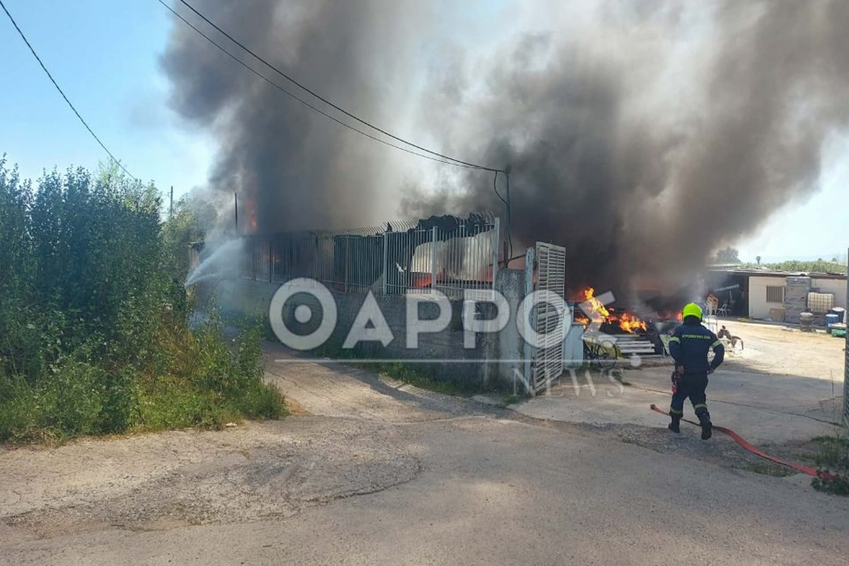 Σοκ στην Καλαμάτα: Μεγάλη πυρκαγιά σε αποθήκη υλικών καταστρέφει τα πάντα – Πνίγηκε ολόκληρη η περιοχή στους καπνούς! - NewsPoint.gr