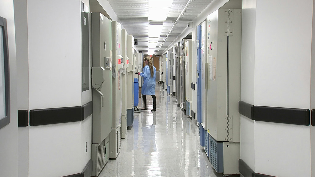 Απίστευτο συμβάν στη Σκιάθο: Βρετανίδα τουρίστρια παλεύει για τη ζωή της μετά από πτώση-σοκ τη νύχτα διασκέδασης! - NewsPoint.gr