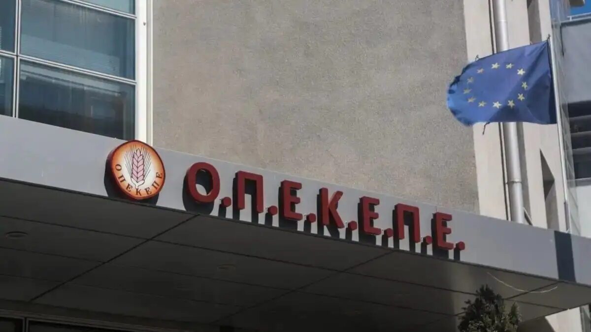 Η συγκλονιστική απόφαση για τις παράνομες αγροτικές ενισχύσεις στη Βόρεια Ελλάδα – Ποιοι βρέθηκαν ένοχοι στον μεγάλο σκάνδαλο του ΟΠΕΚΕΠΕ - NewsPoint.gr
