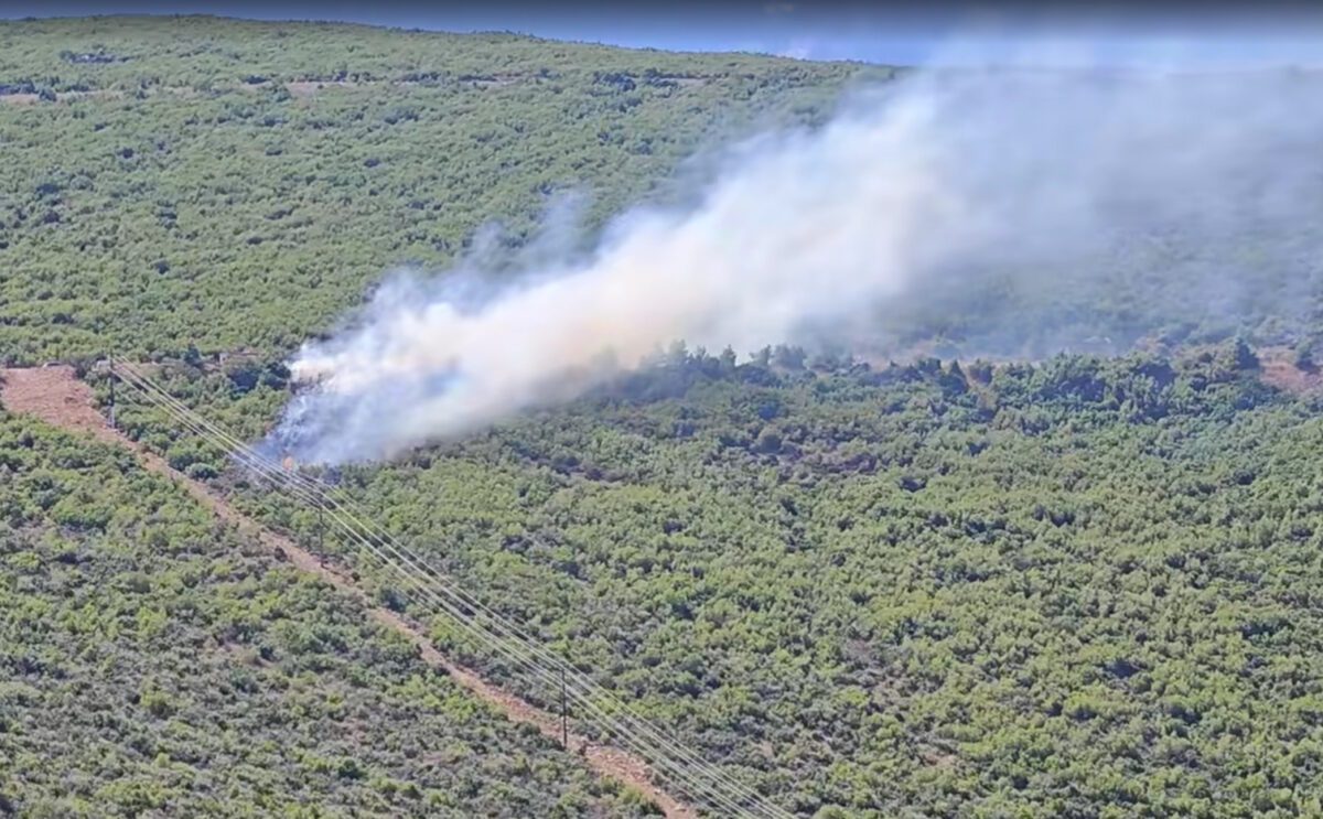 Σοκαριστική φωτιά στον Άγιο Βασίλειο Βοιωτίας – Η άμεση επέμβαση που σώζει την περιοχή! - NewsPoint.gr
