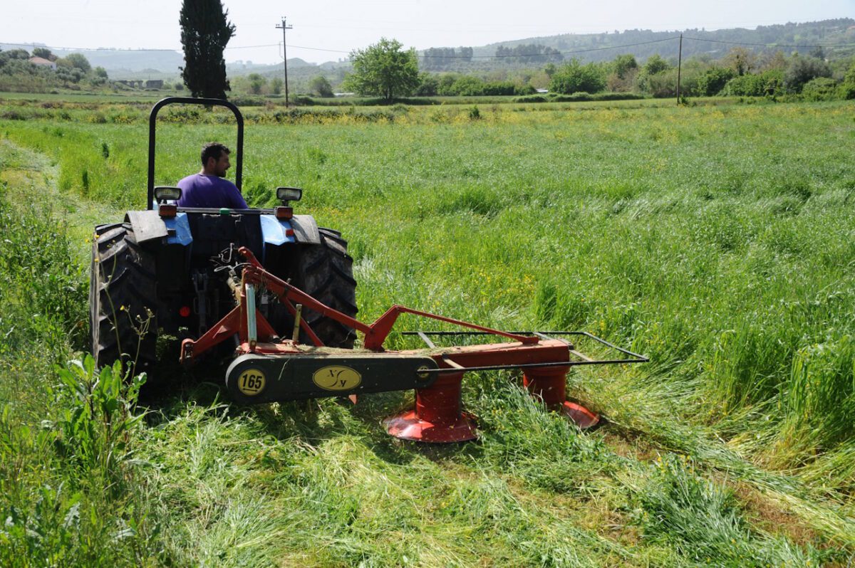 Κανείς δεν περίμενε τέτοια ενίσχυση: 617,5 εκατ. ευρώ σε αγρότες με το νέο σύστημα! Δείτε ποιοι ευνοούνται - NewsPoint.gr