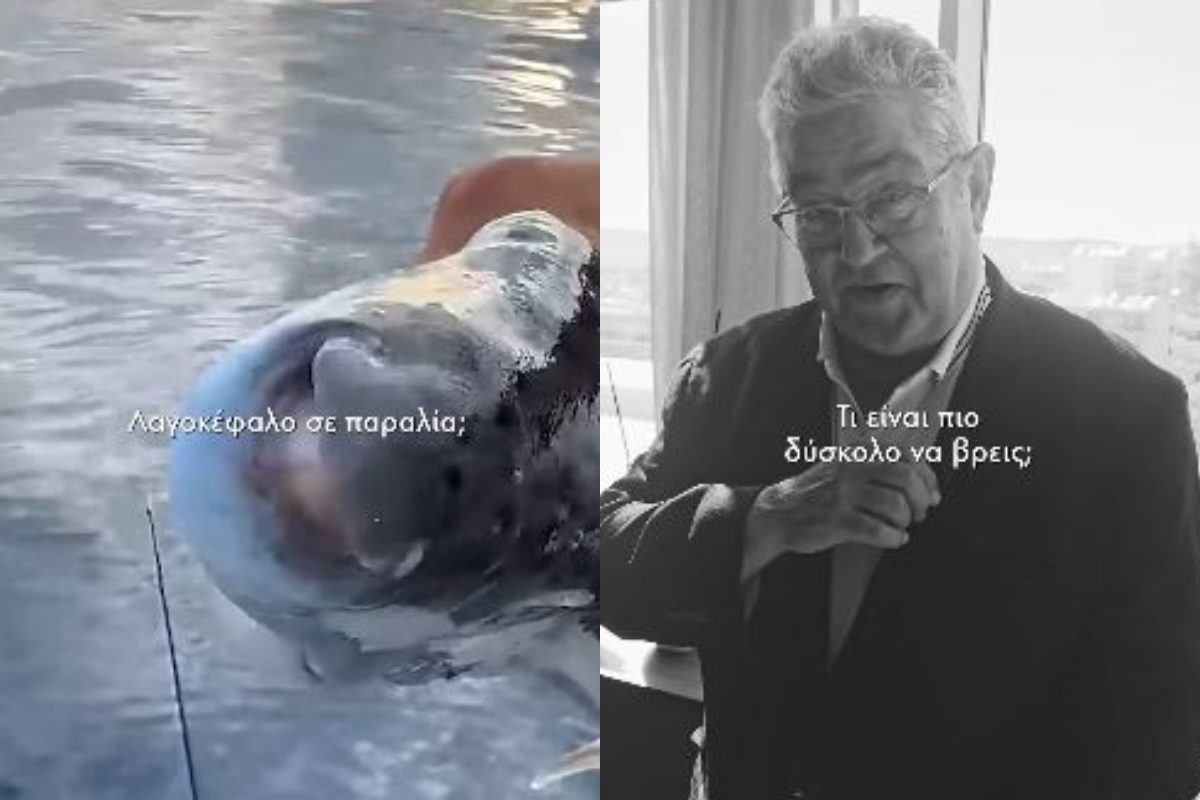 Η ερώτηση του Κουτσούμπα που άναψε «φωτιές»: Είναι πιο σπάνιο το φθηνό σπίτι ή ο λαγοκέφαλος στην Ελλάδα; - NewsPoint.gr