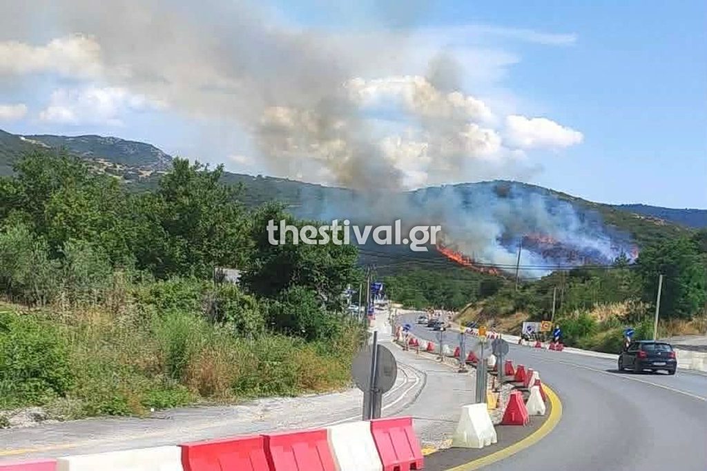 Σάλος στη Θεσσαλονίκη: Αυτοί είναι οι τρεις που κατηγορούνται για τη φωτιά στο Φίλυρο – Όλες οι εξελίξεις 1 Σάλος στη Θεσσαλονίκη: Αυτοί είναι οι τρεις που κατηγορούνται για τη φωτιά στο Φίλυρο – Όλες οι εξελίξεις - NewsPoint.gr