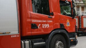 Συναγερμός στην Εύβοια: Μεγάλη φωτιά στον Αλμυροπόταμο αναγκάζει σε εκκένωση Μεσοχώρια και Ραπταίους!