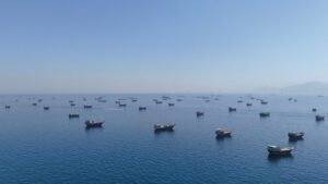 Ανατρεπτικές δηλώσεις Τραμπ για τα Στενά του Ορμούζ – Ο κίνδυνος που απειλεί την παγκόσμια σταθερότητα