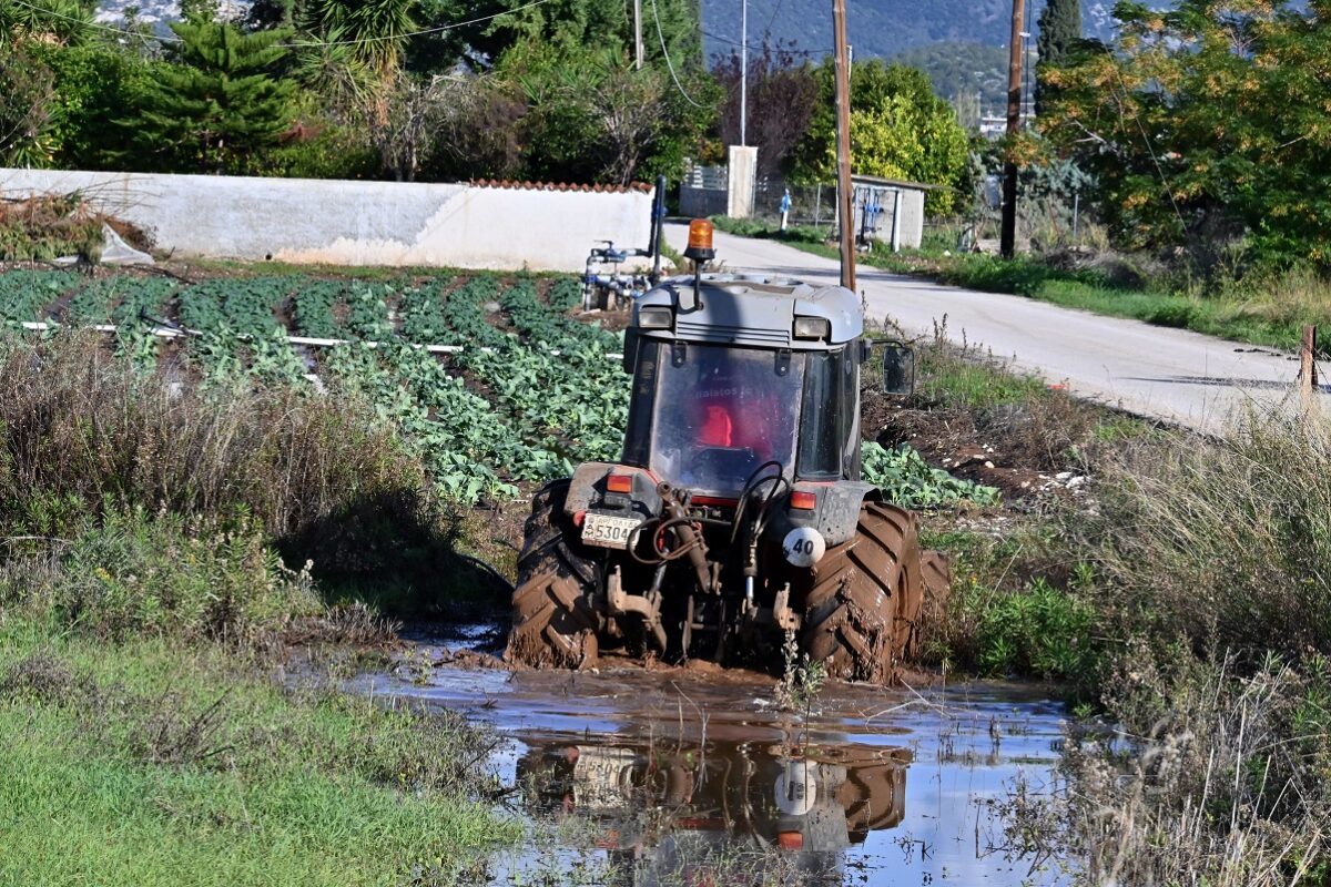 Αποζημίωση-ρεκόρ για τους αγρότες: Η μεγάλη ανατροπή του ΕΛΓΑ μετά τις πρωτοφανείς χαλαζοπτώσεις! - NewsPoint.gr