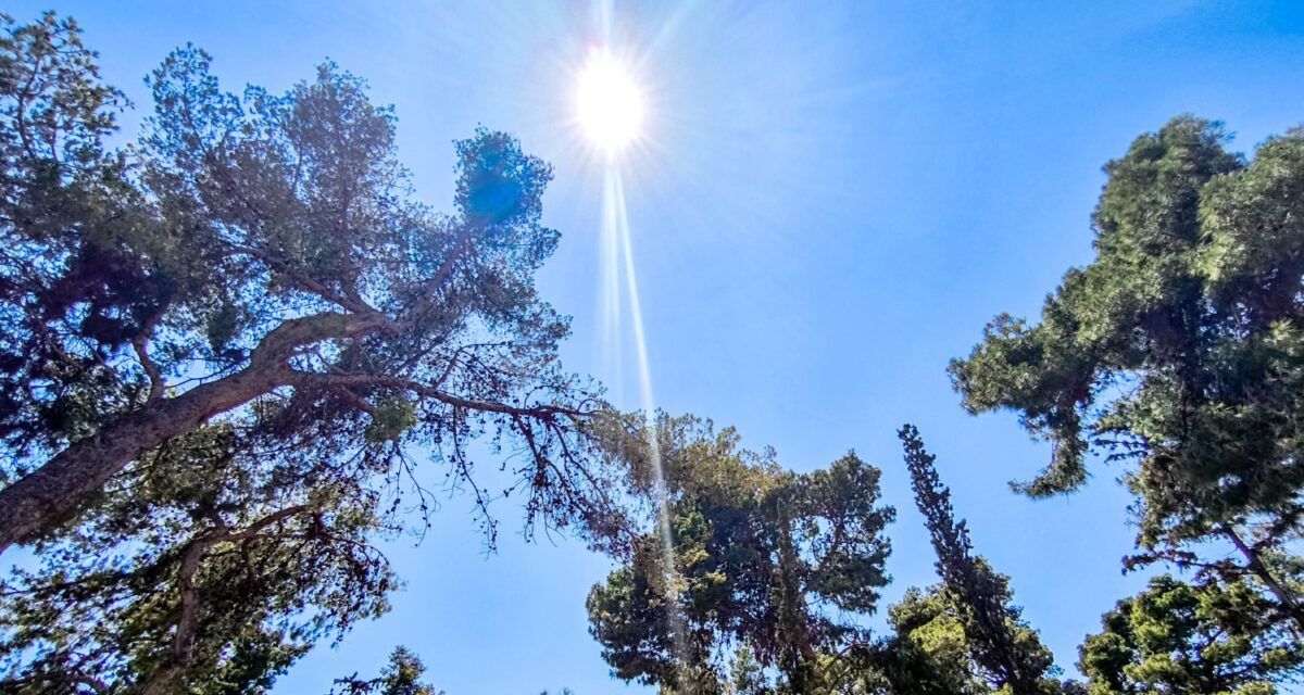 Καιρός 26/7: Η ζέστη κορυφώνεται – Πού θα αγγίξει η θερμοκρασία τους 34°C και τι εκπλήξεις φέρνει η αφρικανική σκόνη! 1 Καιρός 26/7: Η ζέστη κορυφώνεται – Πού θα αγγίξει η θερμοκρασία τους 34°C και τι εκπλήξεις φέρνει η αφρικανική σκόνη! - NewsPoint.gr