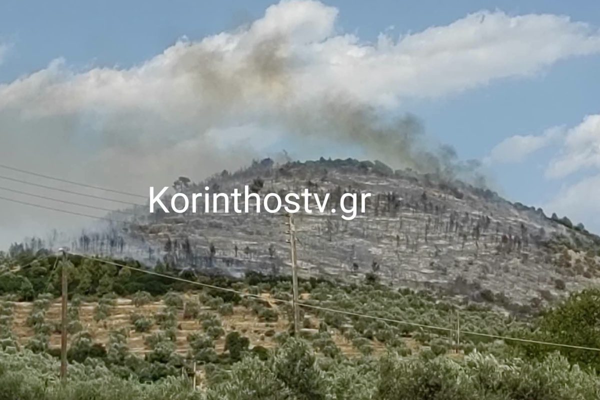 Ανατροπή στο Σπαθοβούνι: Η φωτιά αιφνιδιάζει τους πάντες με δραματική εξέλιξη! 1 Ανατροπή στο Σπαθοβούνι: Η φωτιά αιφνιδιάζει τους πάντες με δραματική εξέλιξη! - NewsPoint.gr