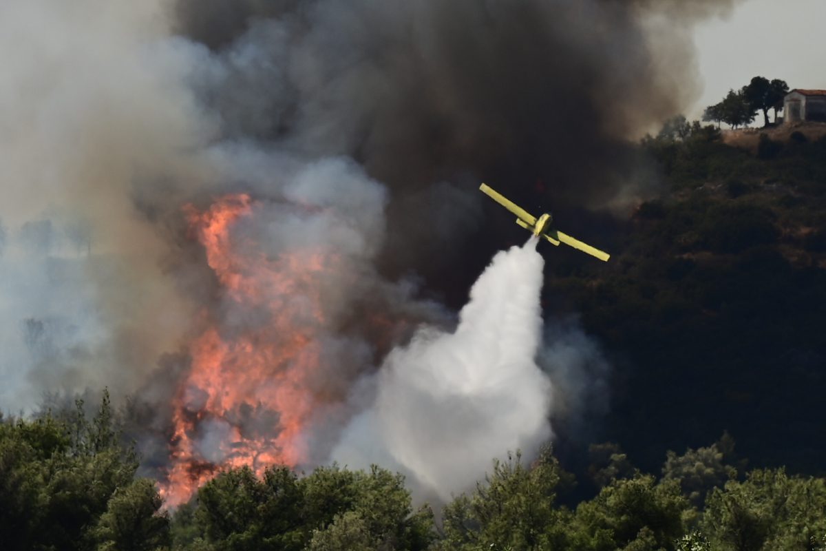 Συναγερμός παντού: Εξαιρετικά επικίνδυνη η Κυριακή για φωτιές – Ποιες περιοχές είναι σε «πορτοκαλί» επιφυλακή - NewsPoint.gr