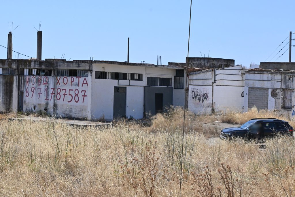 Συγκλονιστική εξέλιξη στο Άργος: Η μητέρα του 20χρονου μιλά για ανεπανόρθωτη καταστροφή μετά τον πυροβολισμό - NewsPoint.gr