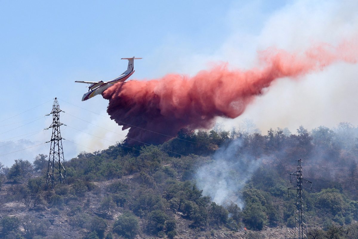 Καταστροφική φωτιά στο δάσος του Φοντενεμπλό: Η επέμβαση που έσωσε τη Γαλλία από ανείπωτη τραγωδία – Χάος σε δρόμους και τρένα! - NewsPoint.gr