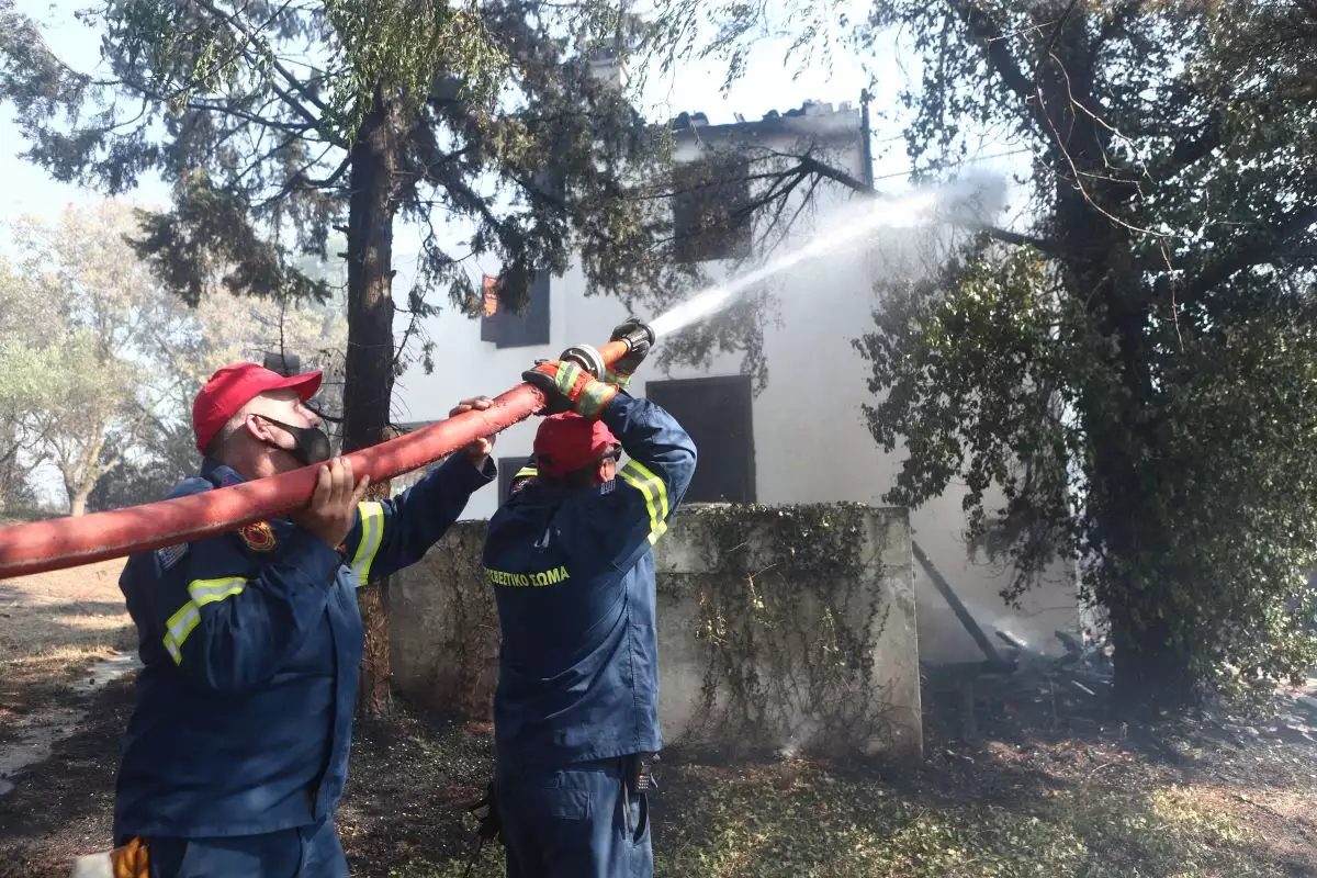 Φωτιά σοκ στην Καβάλα: Οι φλόγες πλησίασαν την Εγνατία Οδό – Η άμεση επέμβαση που έσωσε τα χειρότερα! - NewsPoint.gr